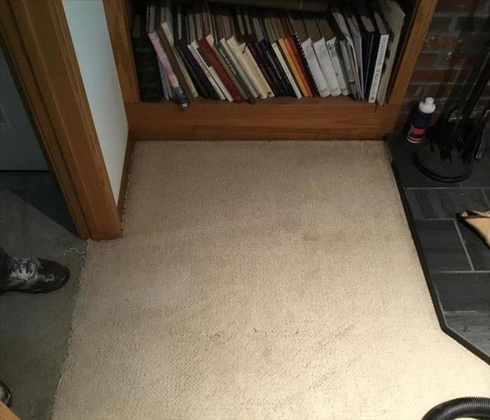 picture of cleaned carpet