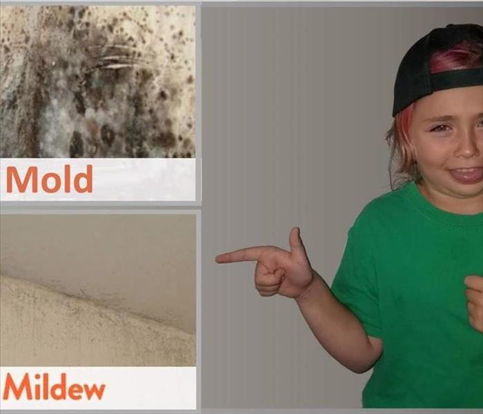 girl pointing to picture of mold and mildew with tongue sticking out and making a yuck face 