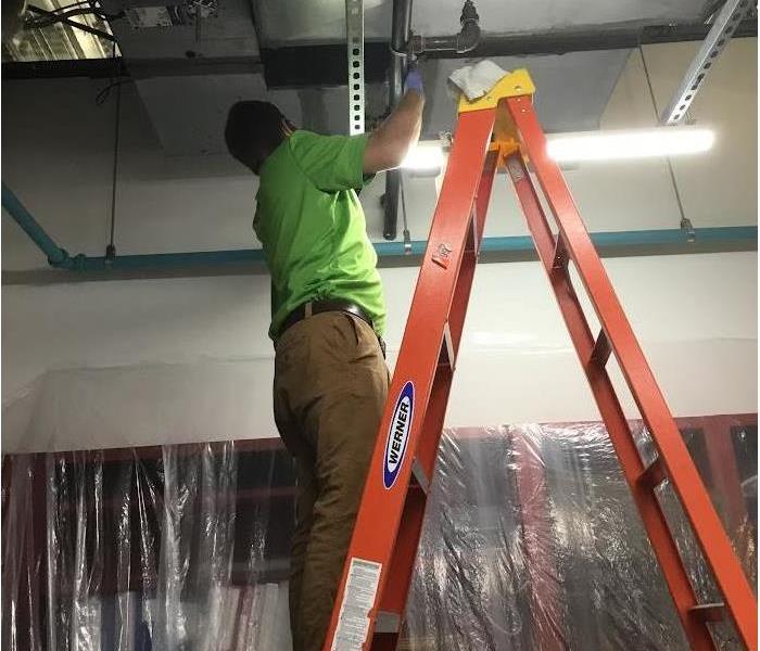 working man standing on ladder fixing ceiling