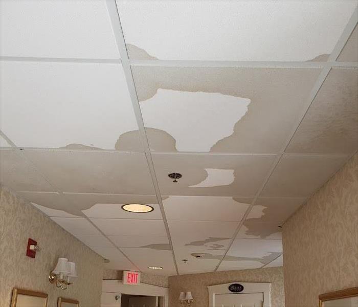 picture of ceiling in a business that has water damage